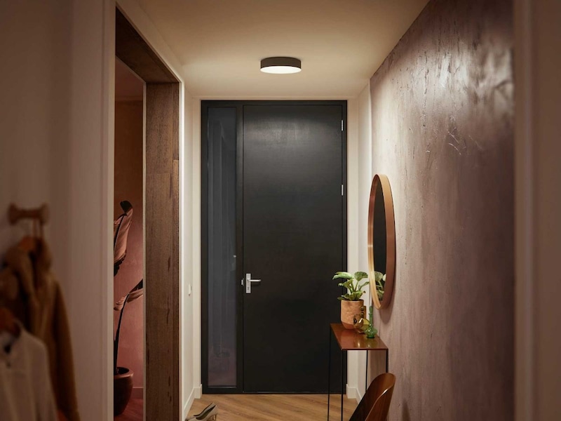 Philips Hue Enrave small taklampa (svart) Lampor