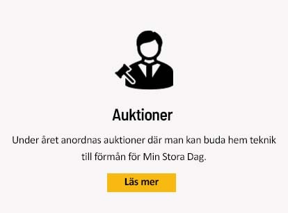 Vi anordnar auktioner till förmån för Min Stora Dag