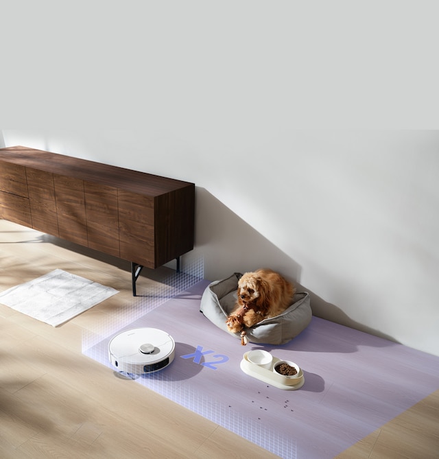 pet friendly care pet friendly care